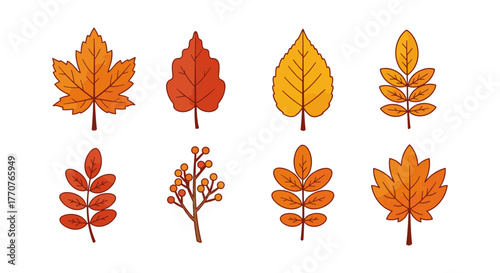 Autumn leaves collection: diverse shapes and warm hues for seasonal design