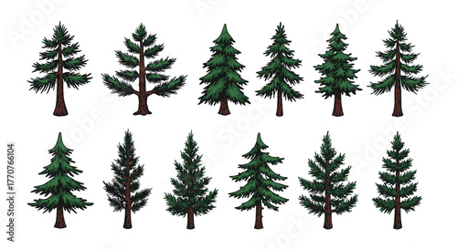 Diverse evergreen tree set featuring realistic pine and spruce varieties