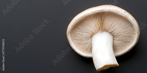 Isolated close-up showcasing the gills and stipe of a mushroom, revealing its intricate texture and structure against a plain backdrop, suitable for culinary or educational purposes.