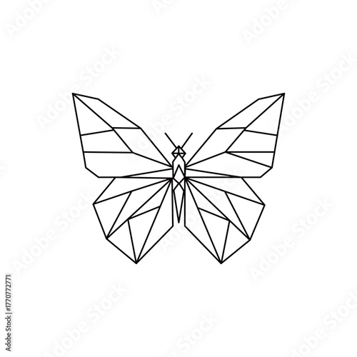 Example: Geometric Butterfly Vector Illustration