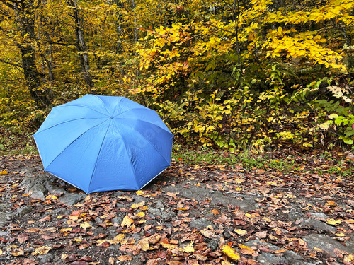 A blue umbrella rests on a rocky path surrounded by colorful autumn leaves and trees with yellow foliage. The scene captures the essence of fall, copy space