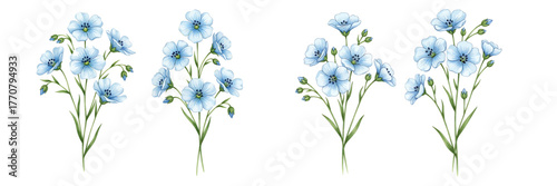 Watercolor set of blue flax flowers png. Field and meadow blue flowers watercolor png. Blue flax flowers isolated on white vector collection. Vector illustration.