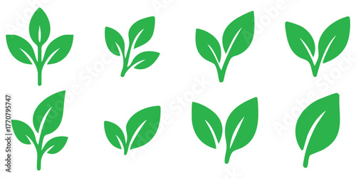 Minimal green leaf silhouette set, Simple plant leaf design collection, Fresh eco foliage illustration