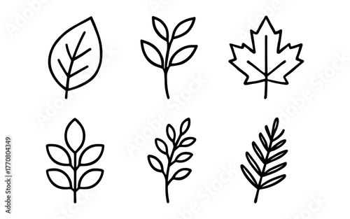Simple botanical leaf outline set: collection of minimalist plant icons
