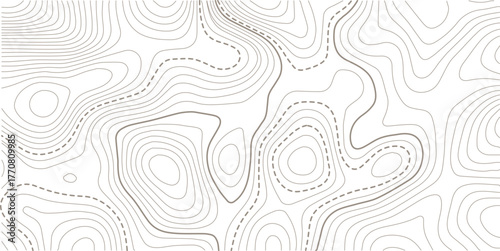 Luxury gold abstract topographic map background with golden lines  texture, wallpaper design for fabric , packaging , web, geographic grid map vector illustration.