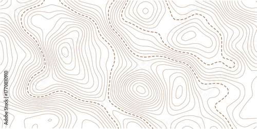 Topographic gold luxury map background. Geographic abstract pattern.Modern design with White background with topographic wavy pattern design.