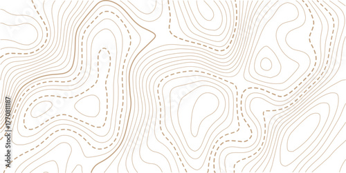 Topographic gold luxury map background. Geographic abstract pattern.Modern design with White background with topographic wavy pattern design.