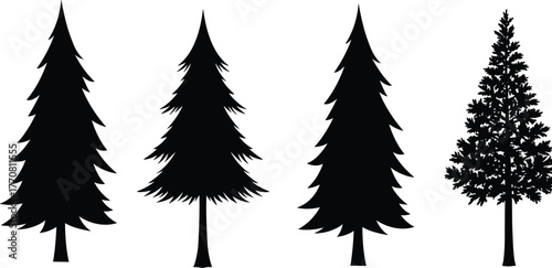 Silhouette of pine trees, fir trees, evergreen forest illustration, nature landscape design, black tree shapes isolated, winter woodland art
