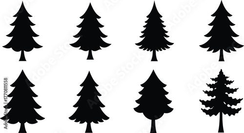 Collection of pine tree silhouettes, evergreen forest illustration, black conifer trees set, nature design elements, winter woodland graphic art