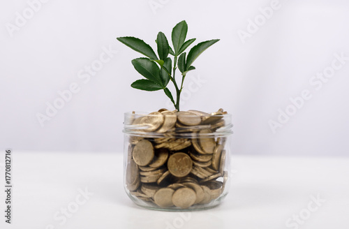 Conceptual image of money g...