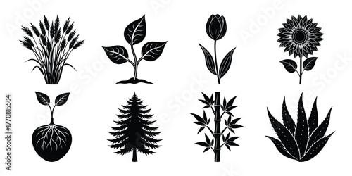 Collection of eight distinct botanical plant silhouettes in a black and white graphic style silhouette