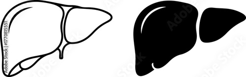 Outline and silhouette of human liver anatomy