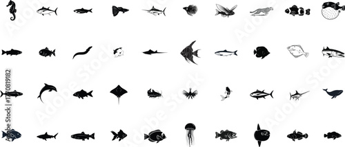 Collection of diverse marine life silhouettes including fish seahorse dolphin and jellyfish isolated on transparent background