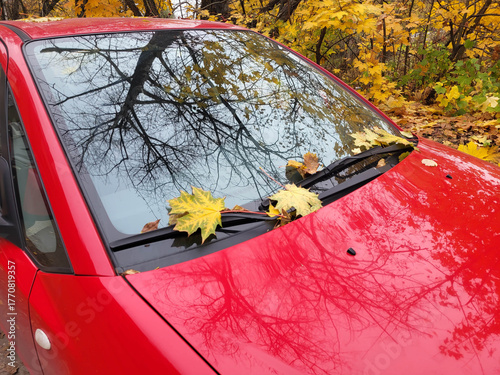 Reflections in the glass of a red car with yellow maple leaves.