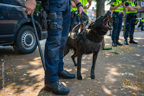 police dog stands guard with his colleague during an event