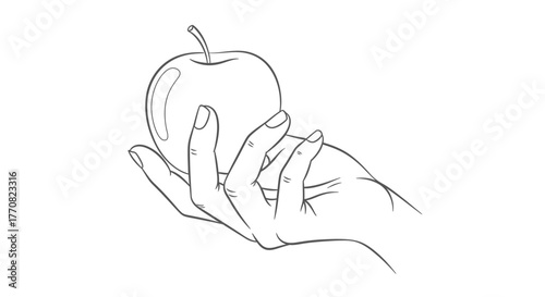 Detailed line drawing of a hand holding a single apple, showing the fruit.
