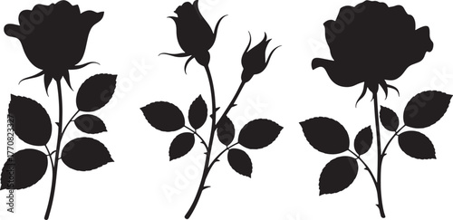 Three black silhouette rose stems with leaves and flowers on white background vector