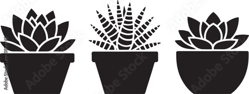 Three black silhouette potted succulent plants on white background potted plant black and white