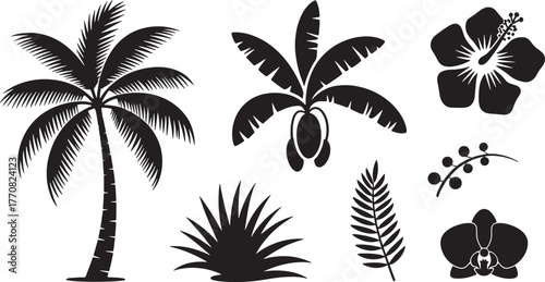 Black silhouette tropical plants palm banana tree hibiscus orchid leaves palm tree hibiscus flower