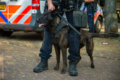 police dog stands guard with his colleague during an event