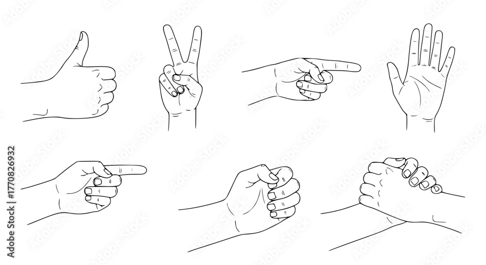 Fototapeta premium Vector of human hands in different gestures, minimal line art style, isolated on white background