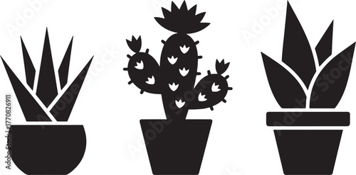 Three black silhouette potted succulent plants and cactus on white background potted plant