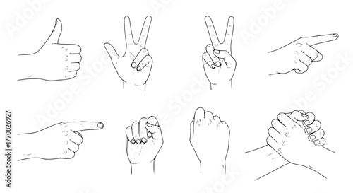 Vector of human hands in different gestures, minimal line art style, isolated on white background
