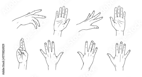 Vector of human hands in different gestures, minimal line art style, isolated on white background