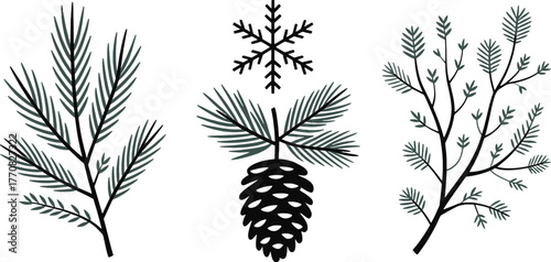 Three stylized winter botanical elements pine branch cone and snowflake pine cone nature