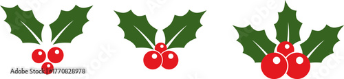 Classic holly berries and leaves clustered together, Christmas concept, festivities and winter festive decorations