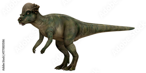 Realistic dinosaur model on white background
