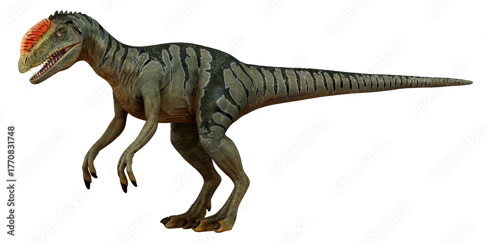 Fototapeta premium Realistic depiction of a dinosaur against white background.