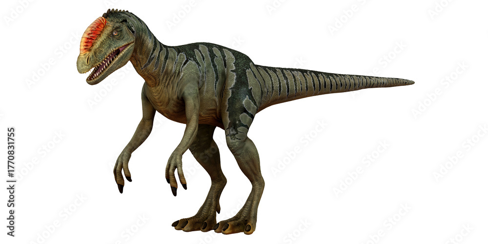 Fototapeta premium Majestic prehistoric dinosaur on white background.