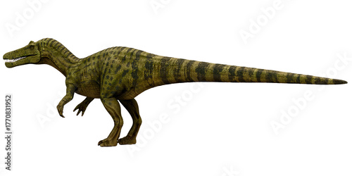 Papier peint Spinosaurus dinosaur model on a white background.
