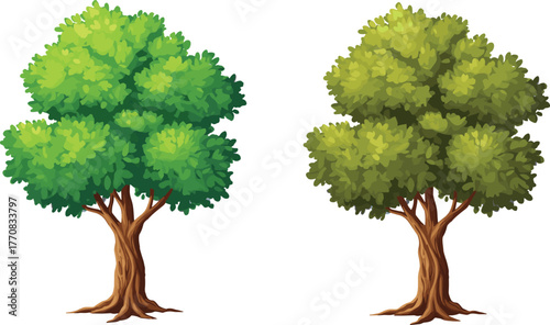 Realistic green and brown tree illustration, summer and autumn seasonal foliage, natural forest element, isolated eco plant design, vector artwork