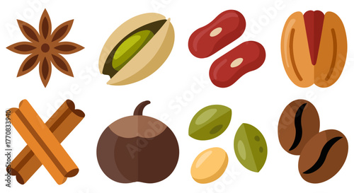 nuts and seeds vector illustration