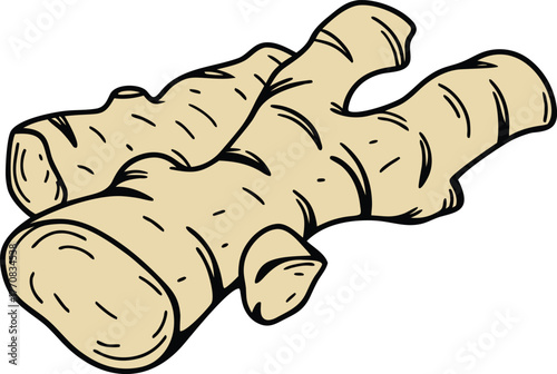 Fresh Ginger Root for Herbal Medicine