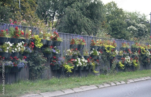 roadside fence with flower pots