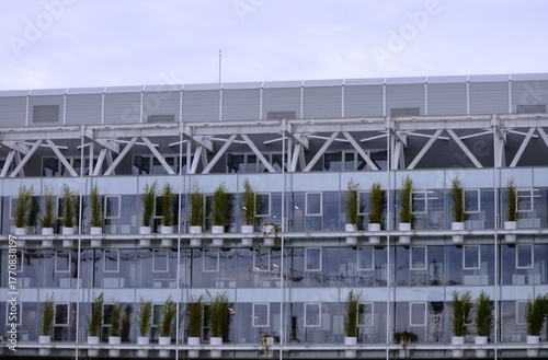 modern building in glass and plants
