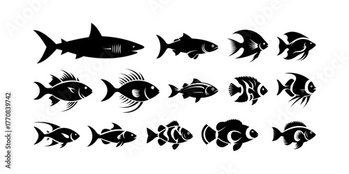 Collection of Marine and Freshwater Aquatic Animal Icon Silhouettes Isolated on Transparent Background.