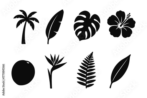 Tropical plant and flower silhouettes: palm, hibiscus, monstera, fern in modern design