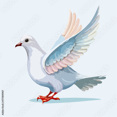 Sublime colombe blanche, reflets rose et bleus, isolé sur fond clair