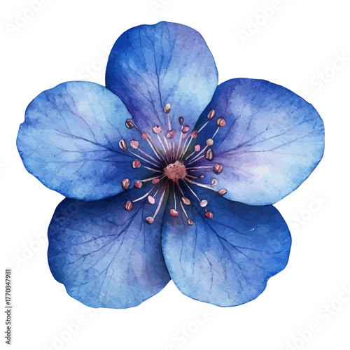 Stock Flower, watercolor clipart vector, isolated on a white background.