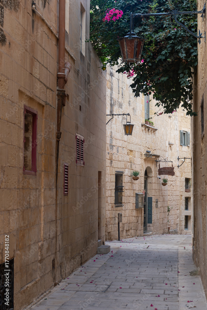 Obraz premium Medina - Mdina - Malta. Vicoli