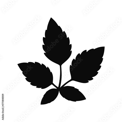 Mint Leaf Silhouette Vector Illustration Fresh Herbal Botanical Plant Artwork.