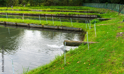 Fotografie Water flows from a large pipe into one of the ponds on a Polish trout farm