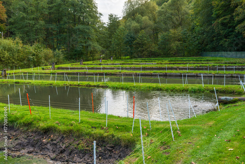 Bilde på lerret A view of clear ponds and flowing water channels used for trout breeding in a rural valley
