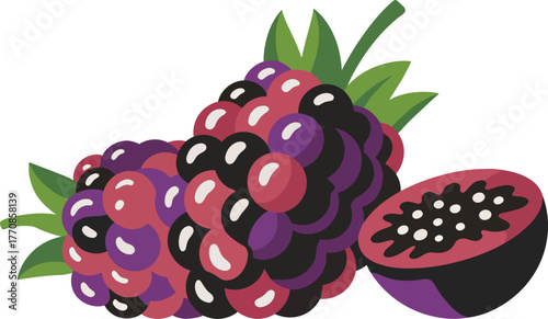 Fresh blackberries and half passion fruit with seeds vector illustration