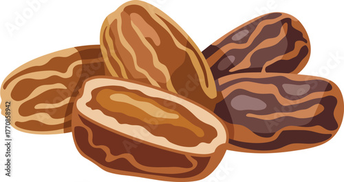Fresh Dates Whole and Halved Sweet Fruit Vector Illustration Natural Food Design