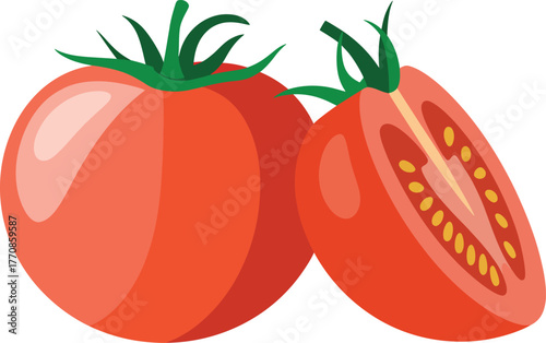 Fresh red tomato whole and sliced ripe fruit vibrant illustration
